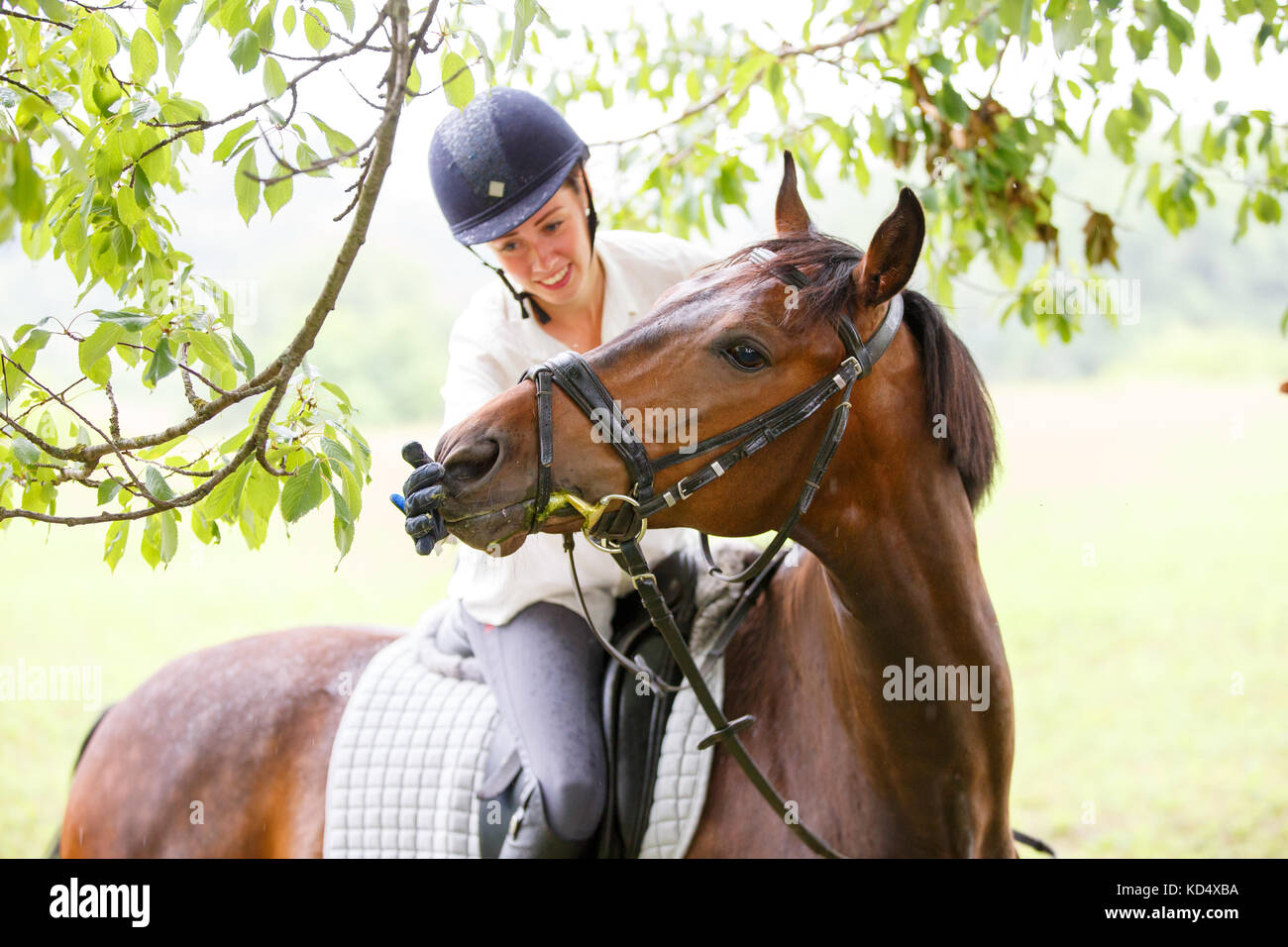 Young smiling rider woman touching lips of horse. Stock Photo
