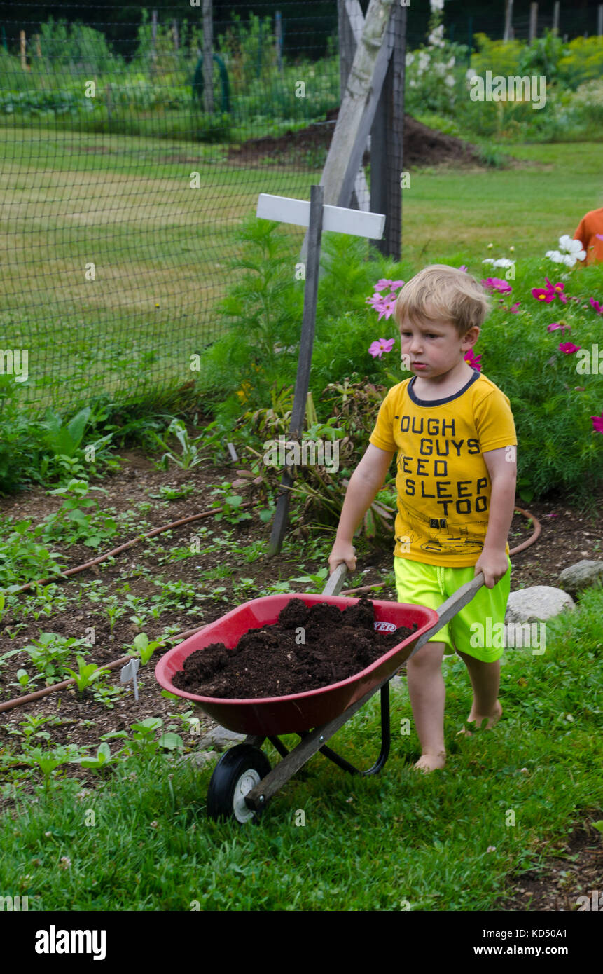 Boy moving wheelbarrow with compost in community garden wearing t-shirt "tough guys need sleep too", Yarmouth Maine, USA Stock Photo