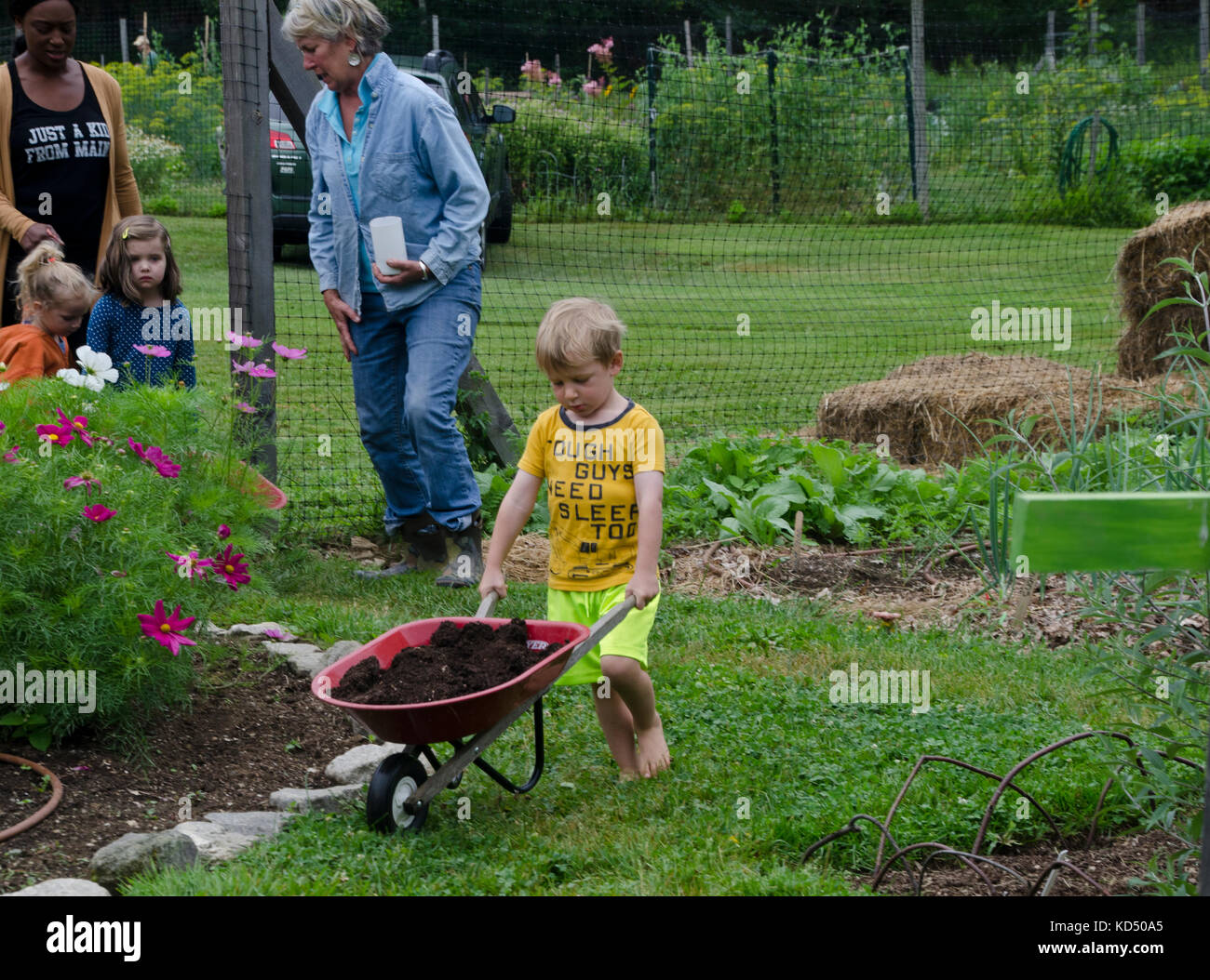 Young boy pushing a small wheelbarrow of dirt in community garden, Maine, USA Stock Photo