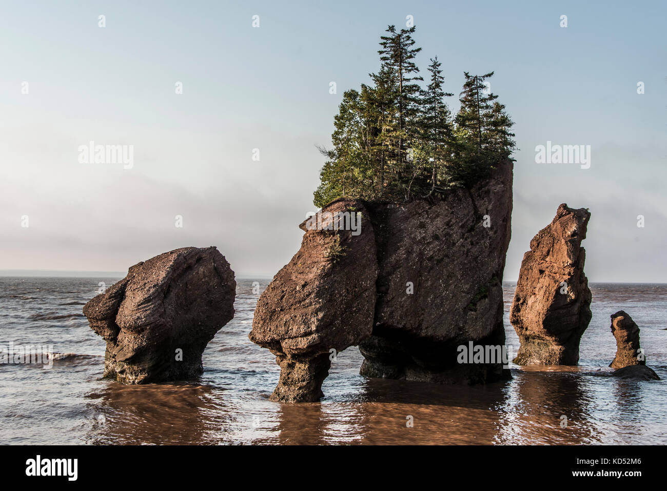 Sunrise at famous Hopewell Rocks geologigal formations at low tide ...