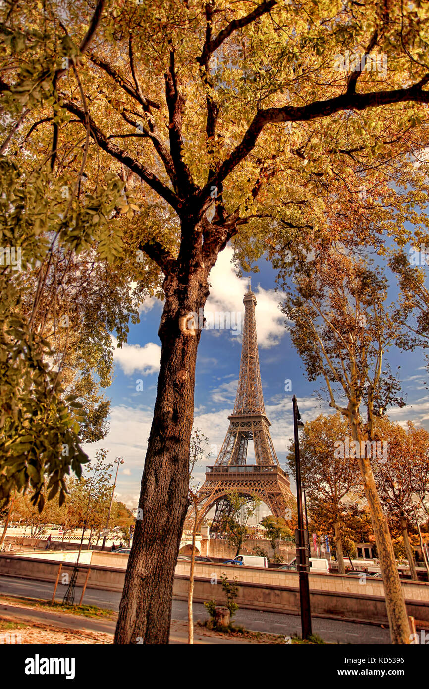 Eiffel Tower with autumn leaves in Paris, France Stock Photo