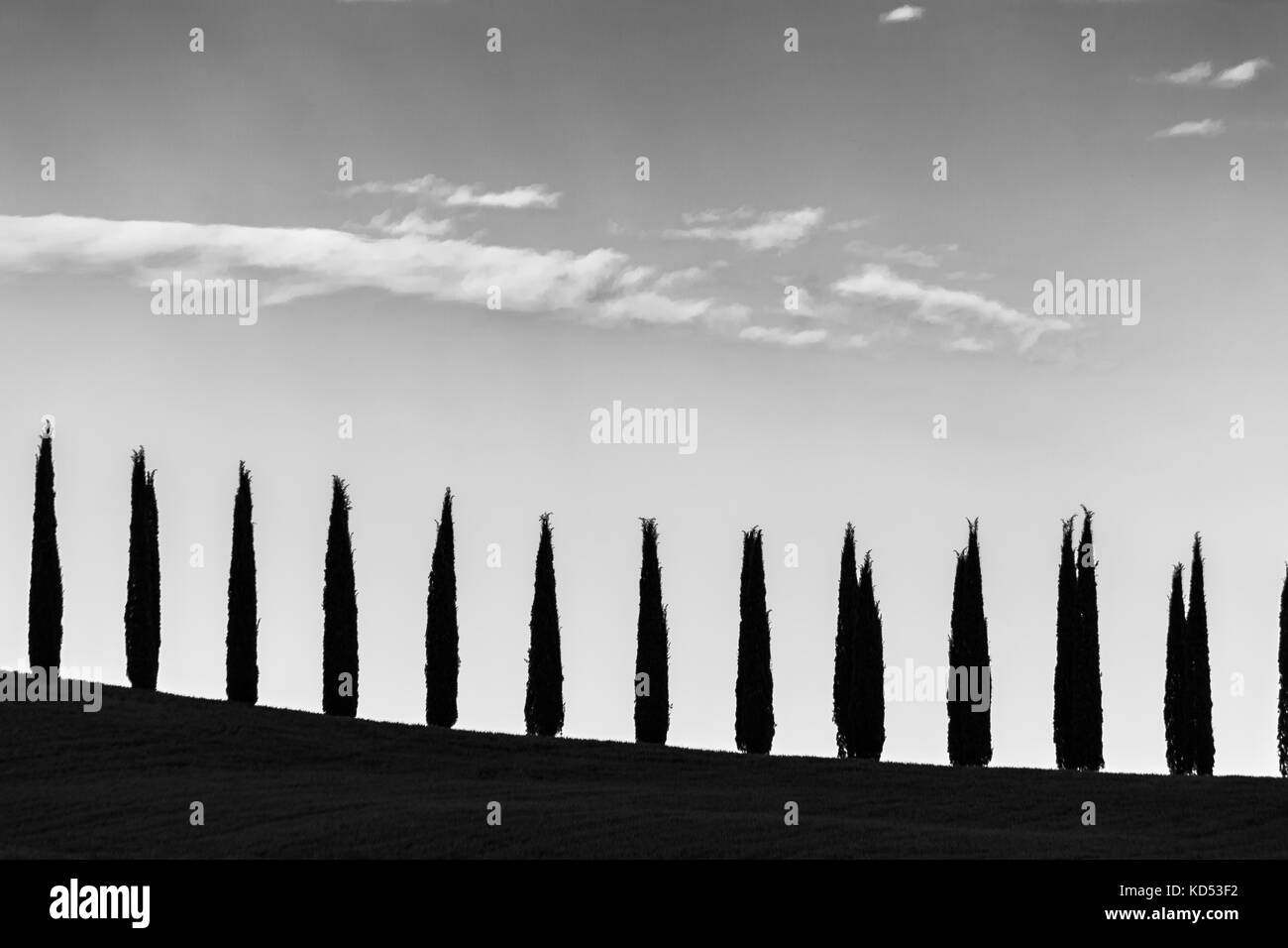 A line of cypresses following an hill profile, beneath a big sky, with some sparse clouds Stock Photo