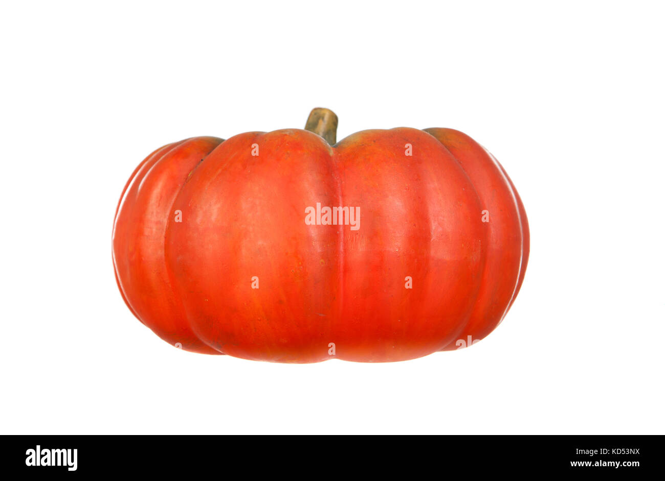Big orange pumpkin isolated on a white background Stock Photo - Alamy