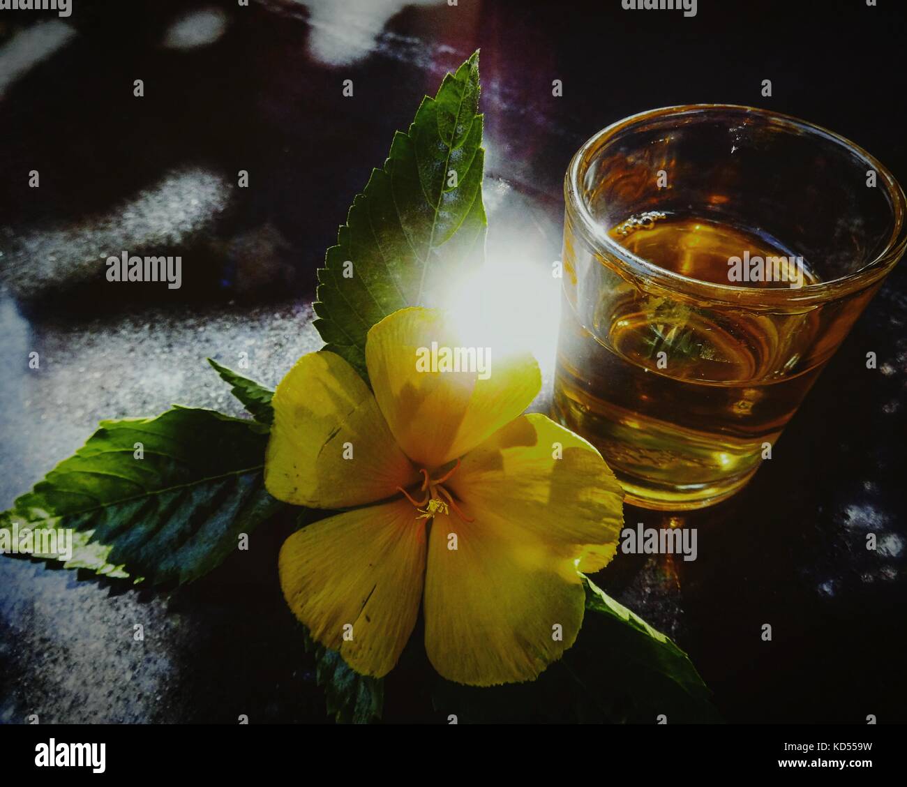 Tra lai or Vietnamese jasmine tea with a yellow flower to show the