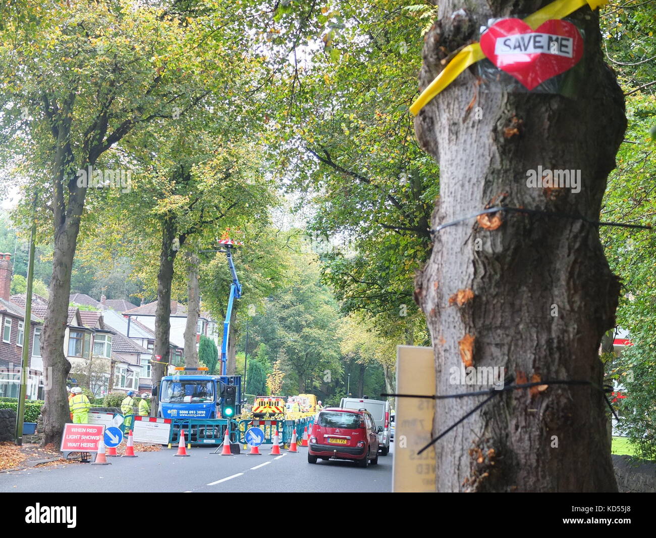 A 'Save Me' sign on a tree on Rivelin Valley Road, Sheffield. In the