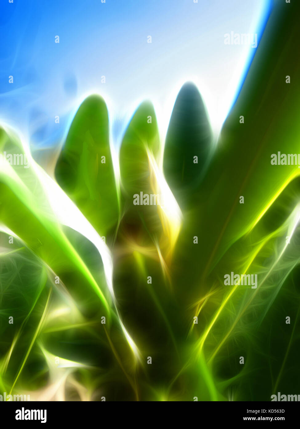 Abstract green background - green grass Stock Photo - Alamy