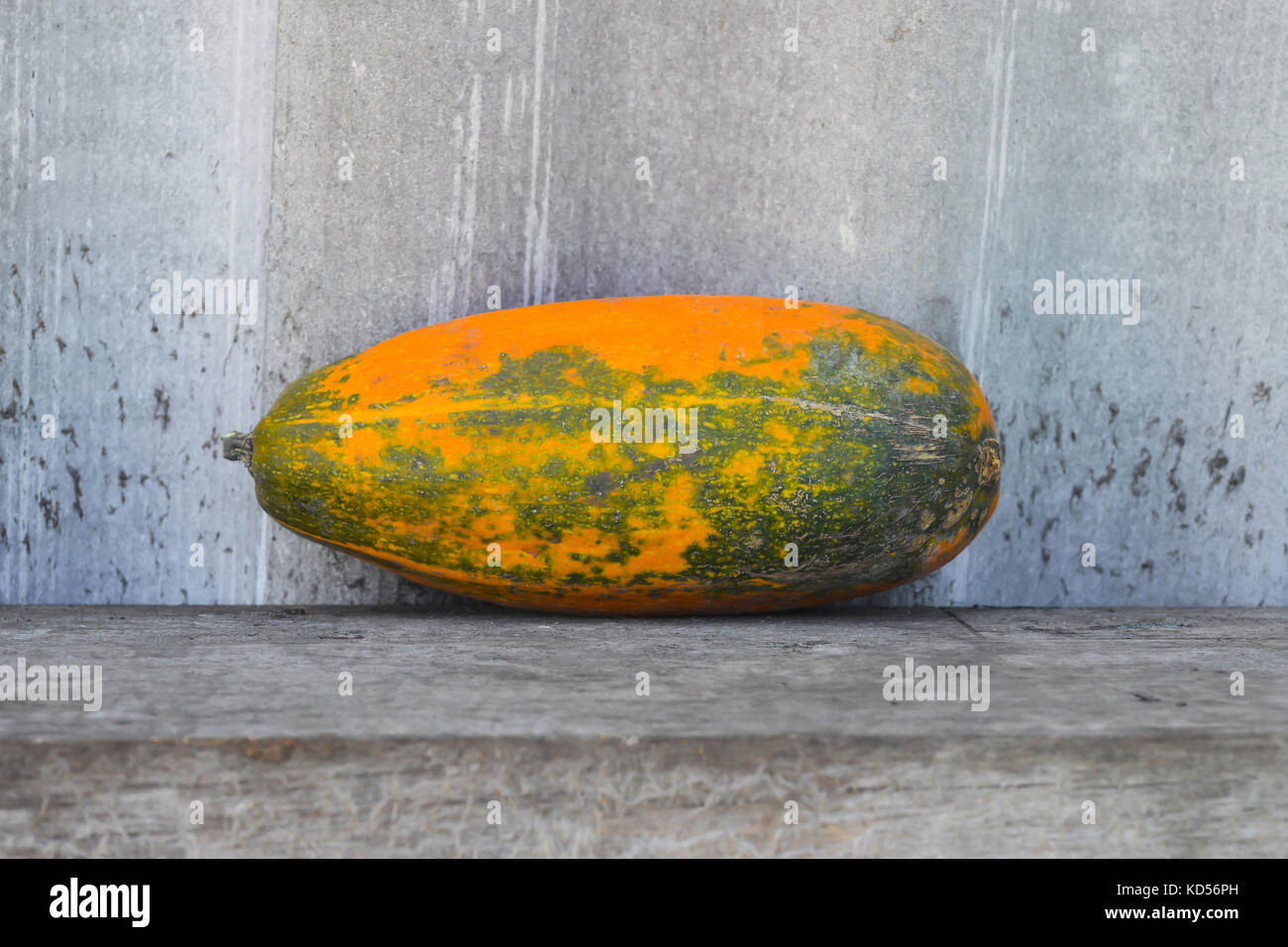Yellow vegetable marrow on a wooden bench. The concept of farm and household Stock Photo