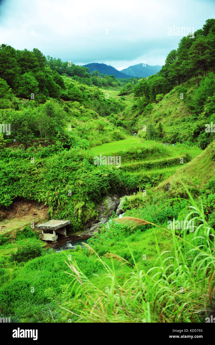 Valley of Sagada, Luzon, Philippines Stock Photo