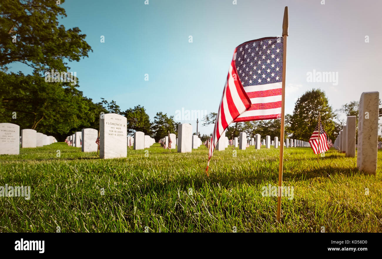 WASH DC-May 25, 2015: Arlington National Cemetery on Memorial Day. Every grave decorated with an American flag . Ground level view flag in foreground Stock Photo