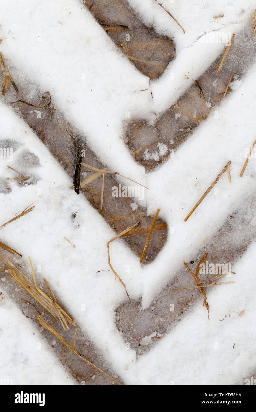 Traces of the car on the snow Stock Photo - Alamy