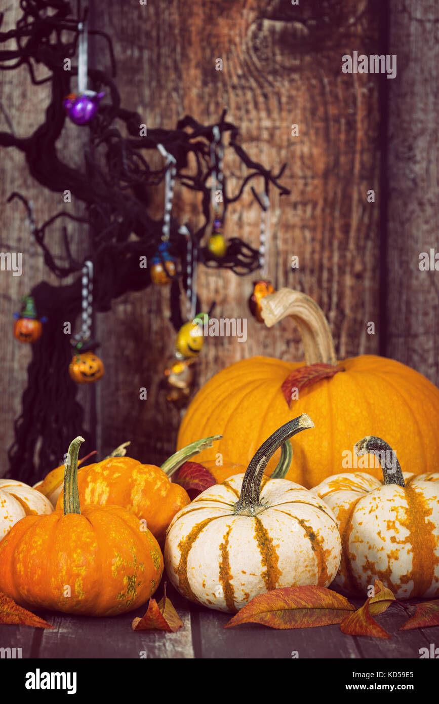 Pumpkin display with autumn leaves. Rustic wooden background with decorated Halloween tree. Stock Photo