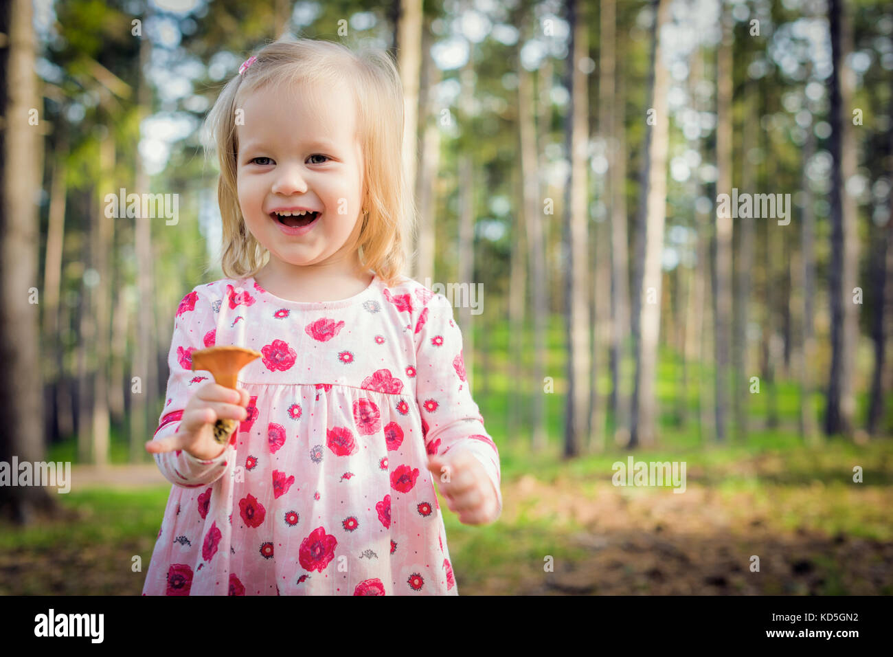 Cute blond toddler girl picking mushrooms in a forest. Happy child holding a mushroom and laughing Stock Photo