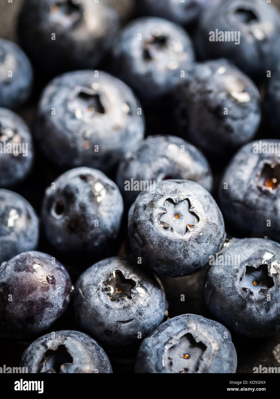 Blueberry blueberries berry fruit macro close food healthy hi-res stock ...