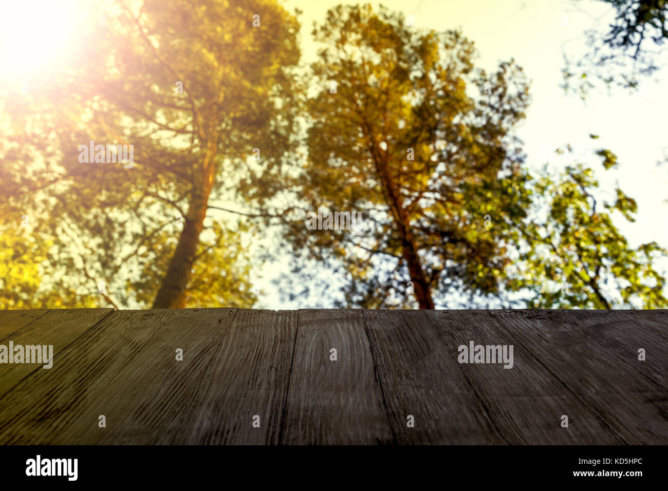 Empty rustic wood table top on blurred treetops background and sky in ...