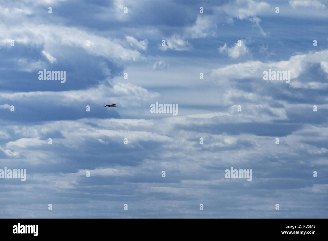 Clouds against the blue sky Stock Photo - Alamy
