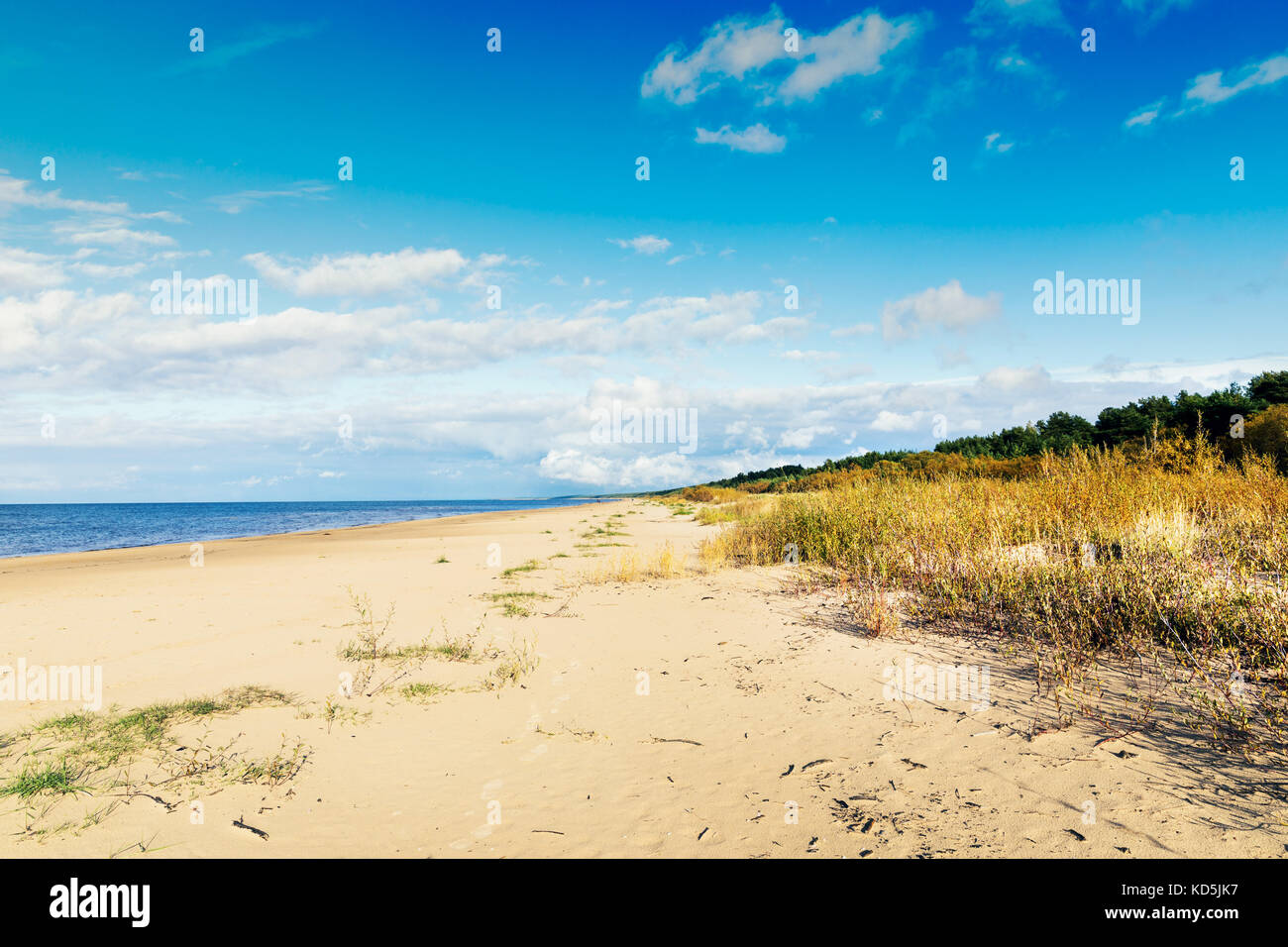 baltic sea beach in Latvia Stock Photo
