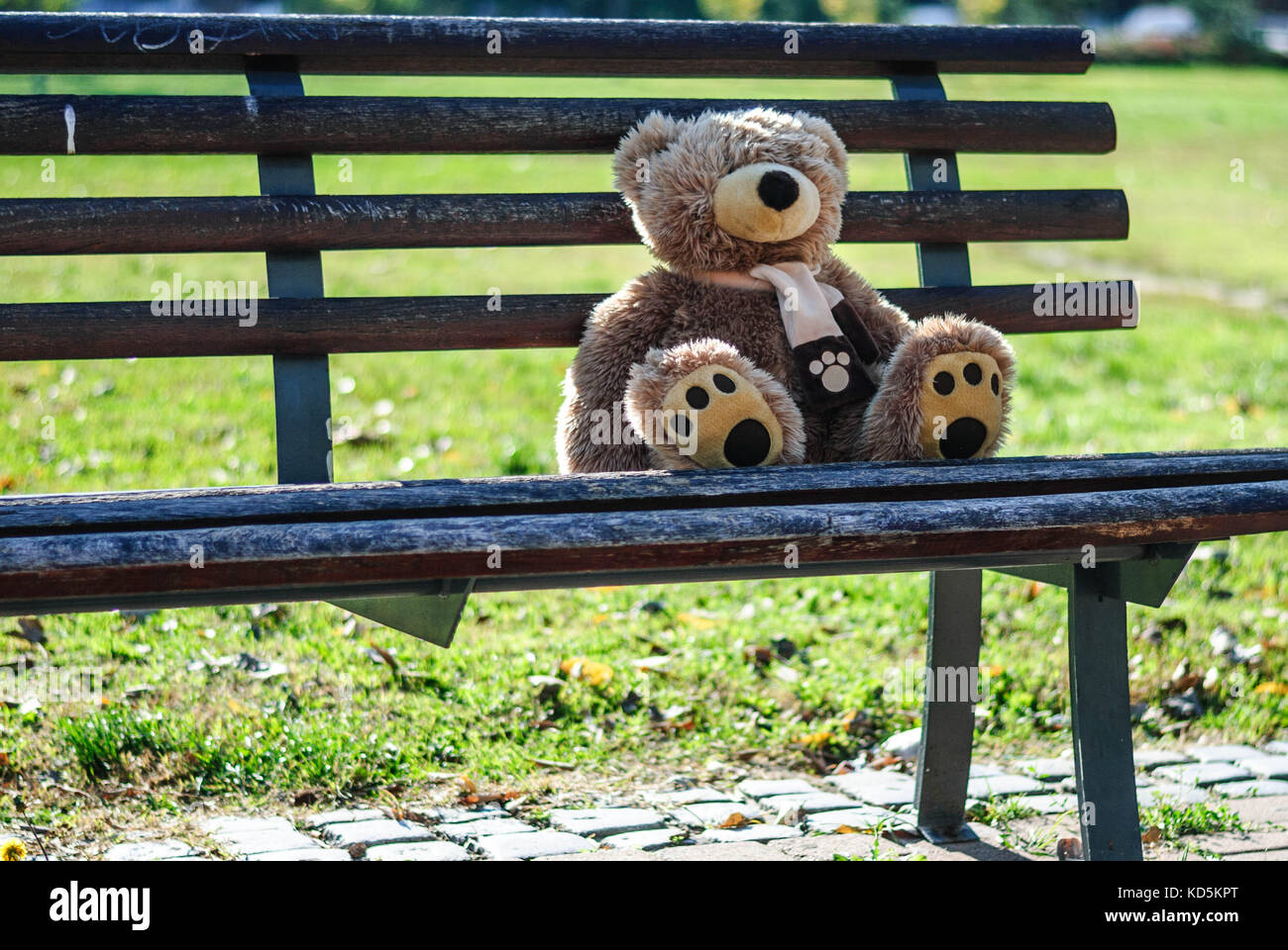 Abandoned teddy bear left outdoors, to find a new owner Stock Photo