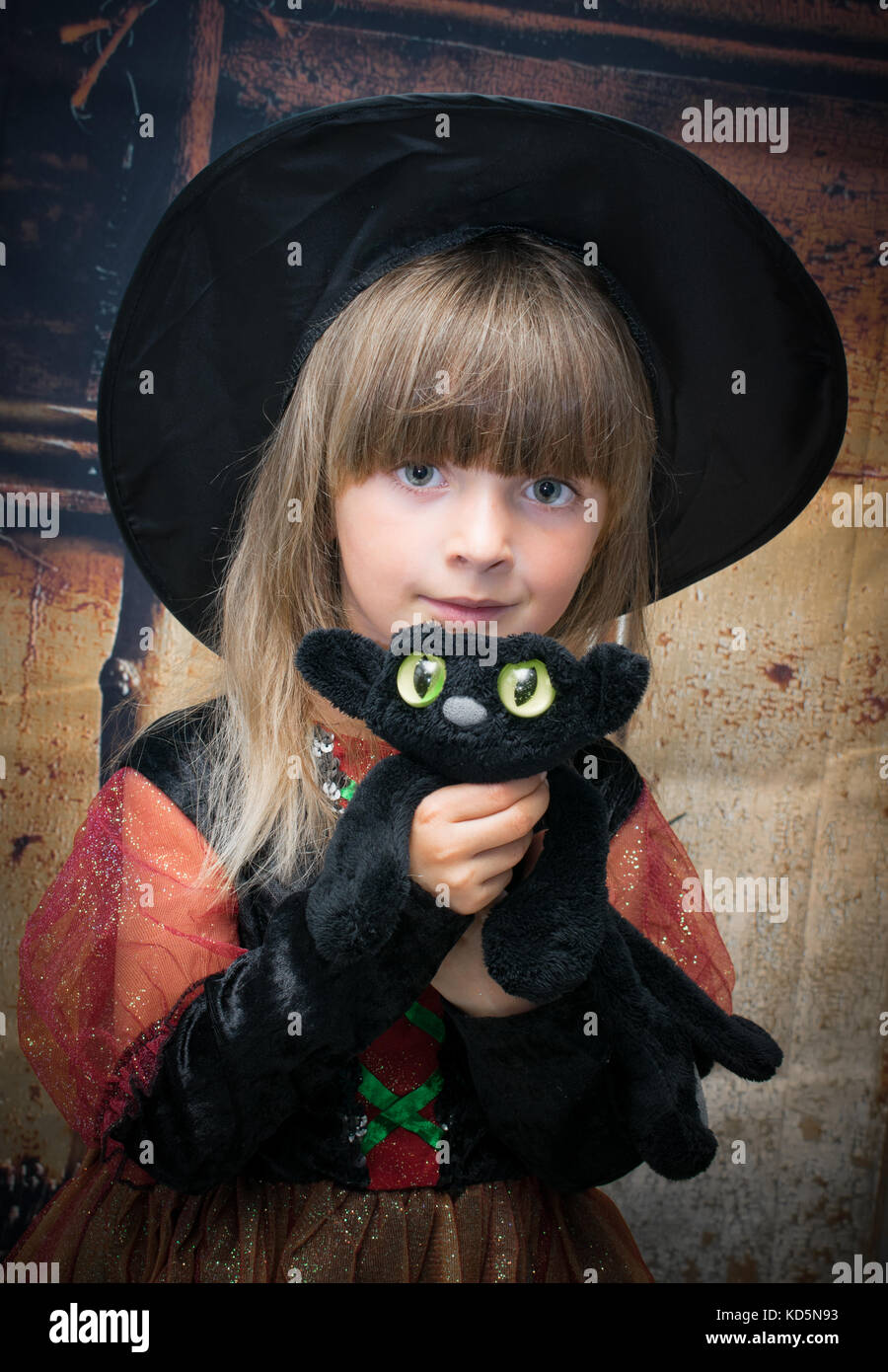 Witch halloween fancy dress hires stock photography and images Alamy