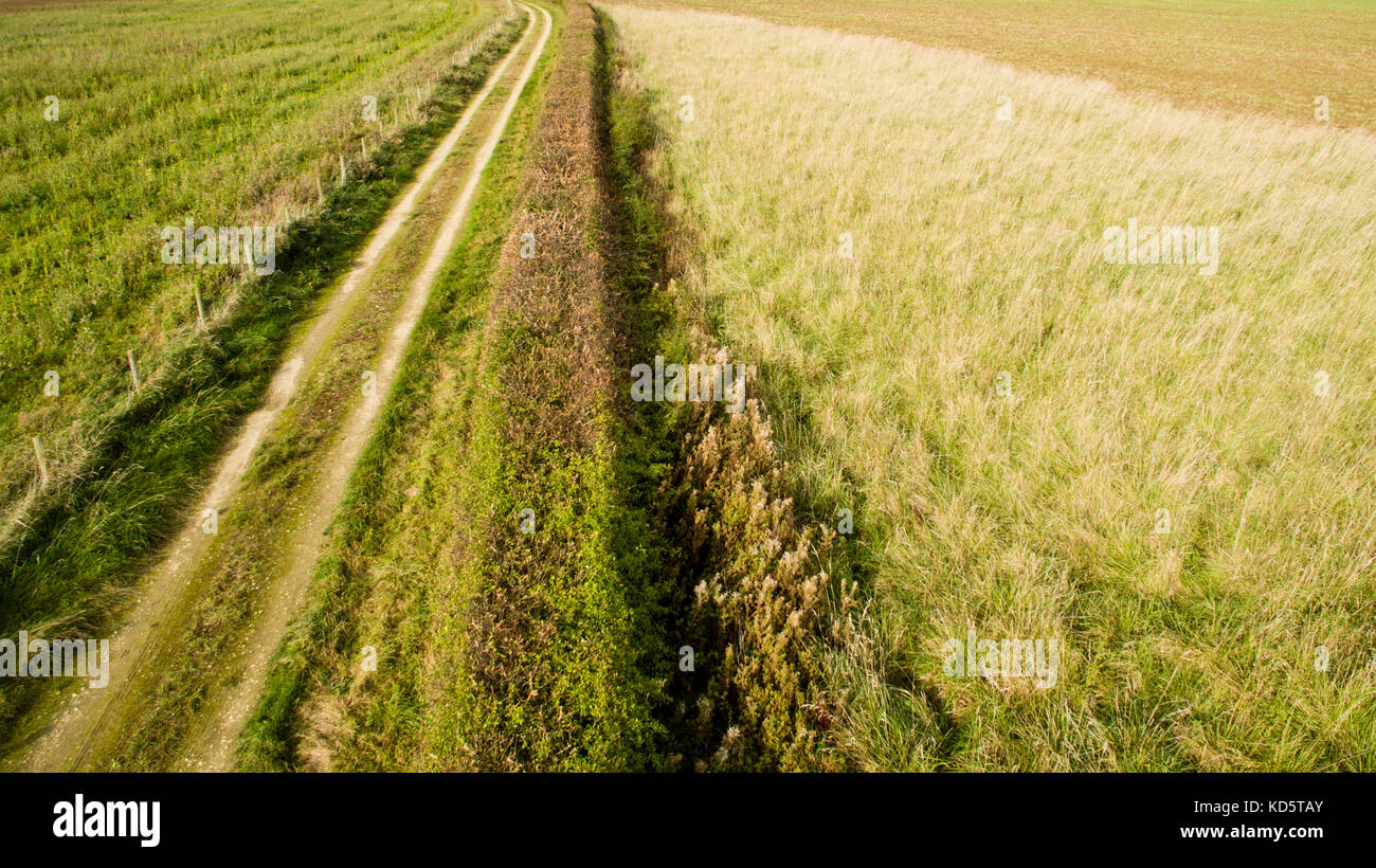 Drone view of fields Stock Photo