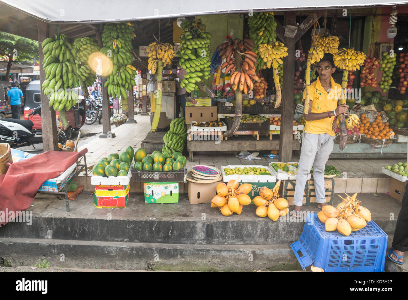 Galle, Sri Lanka - April 11 2017: Market seller standing at a stall with different types of bananas and fruits Stock Photo
