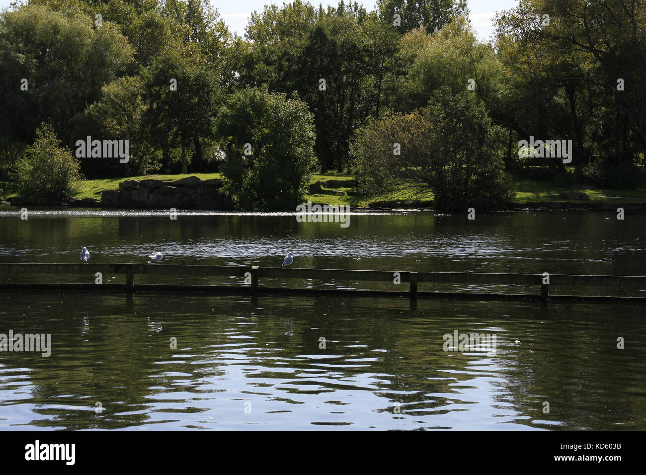 Stanley Park, Blackpool, Lancashire, England Stock Photo Alamy