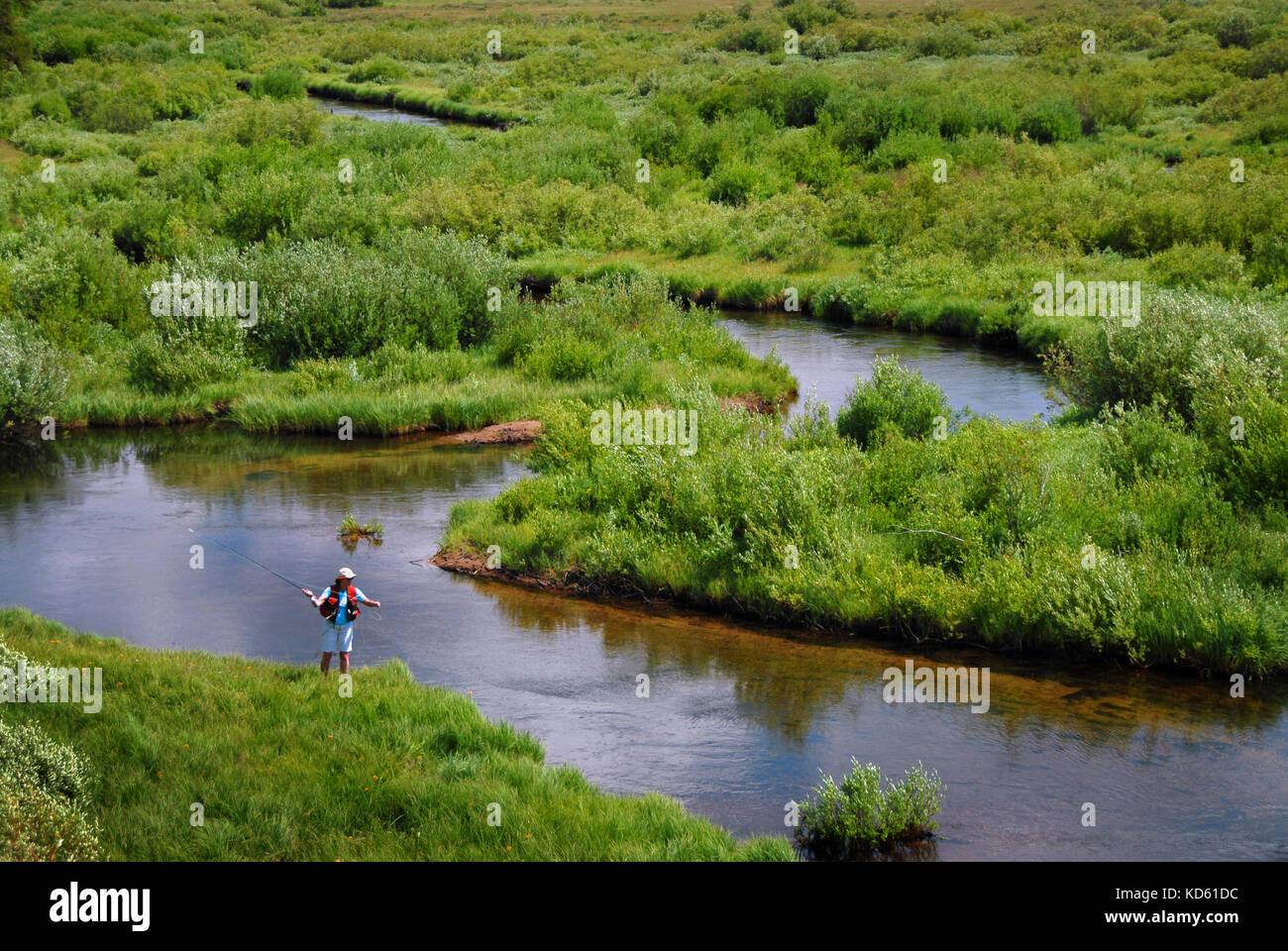 Woman casting and fly fishing the Wise River high in the Pioneer