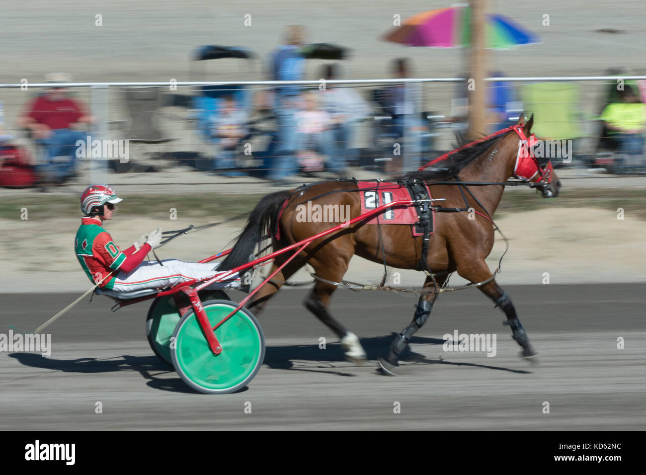 Harness Racing Stock Photos & Harness Racing Stock Images Alamy