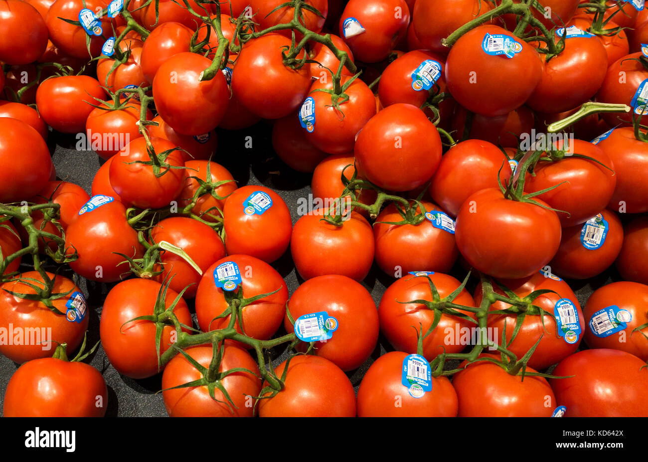 Fresh ripe tomatoes on sale in a farmers market Stock Photo - Alamy