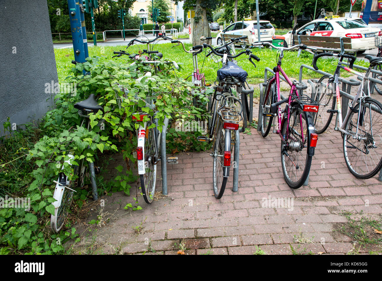 Bicycle parking stands in a city, bikes are overgrown by plants