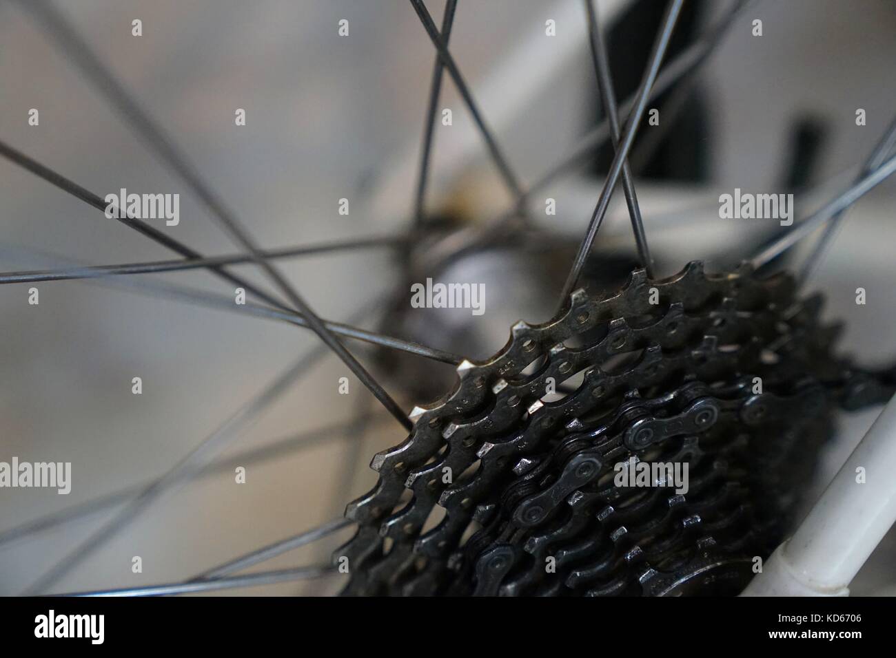 Closeup bicycle parts rear wheel cassette with bicycle spokes. Wheel