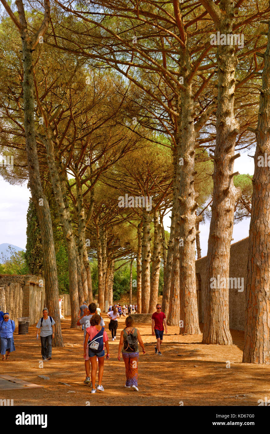 Avenue leading to the main amphitheatre at the ruined Roman city of Pompeii at Pompei Scavi, near Naples, Southern Italy. Stock Photo