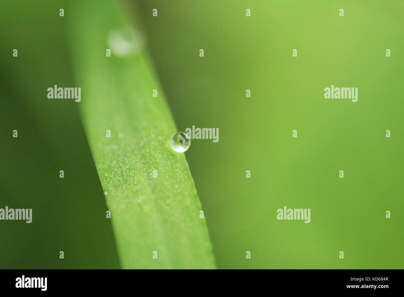 Good Morning Water Stock Photo 163021959 Alamy