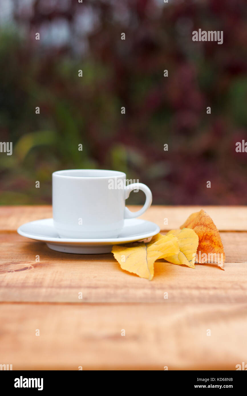 Cup of coffee on old table in autumn with tree maple of colorful leaves ...