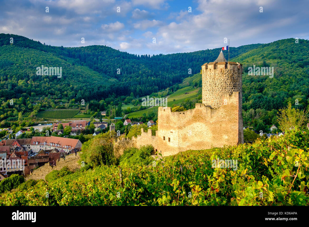 The Château de Kaysersberg is a ruined castle located in the vineyards surrounding the historical town Stock Photo
