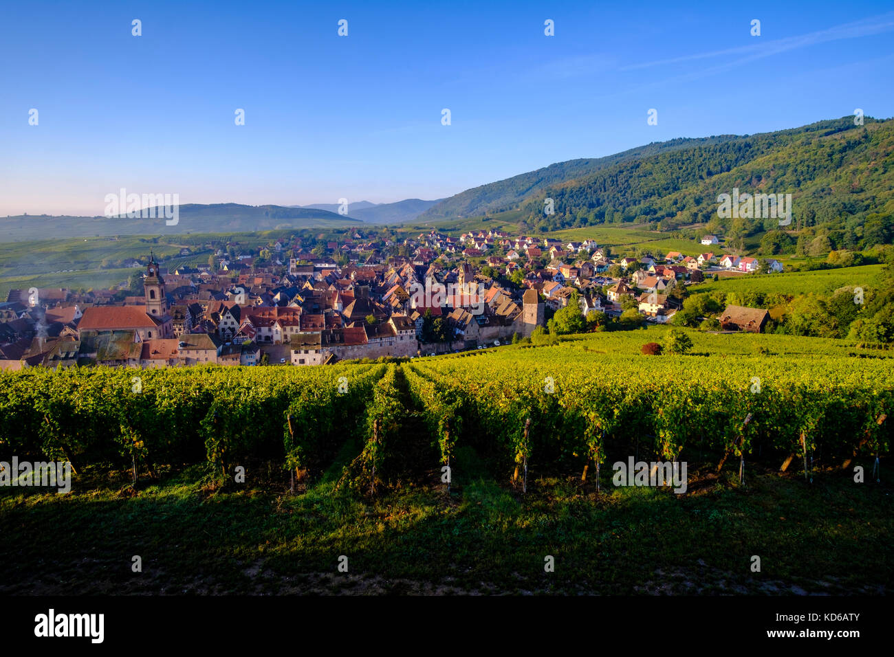 Aerial panoramic view on the small town, surrounded by vineyards ...