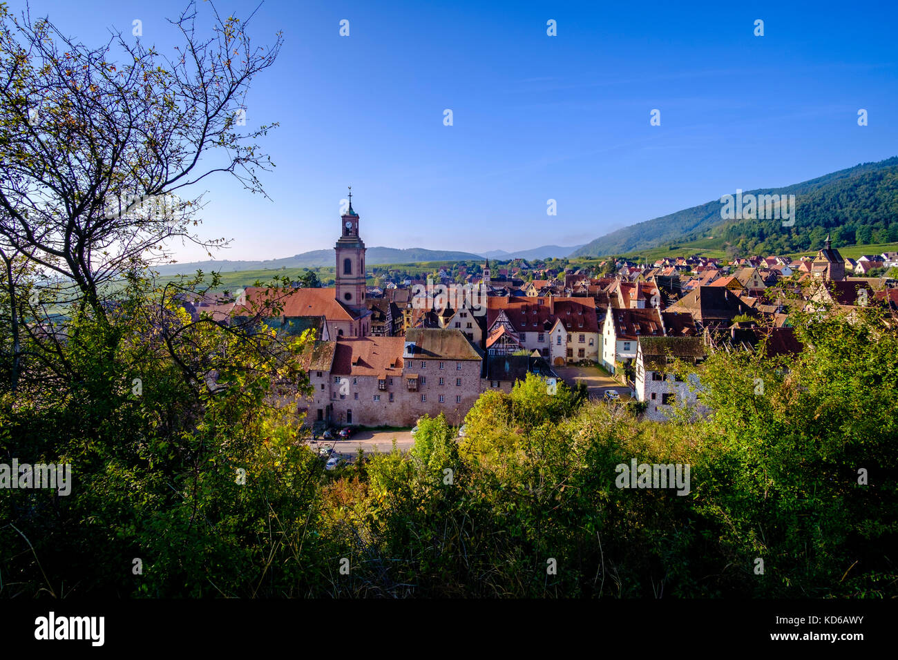 Aerial panoramic view on the small town, surrounded by vineyards ...
