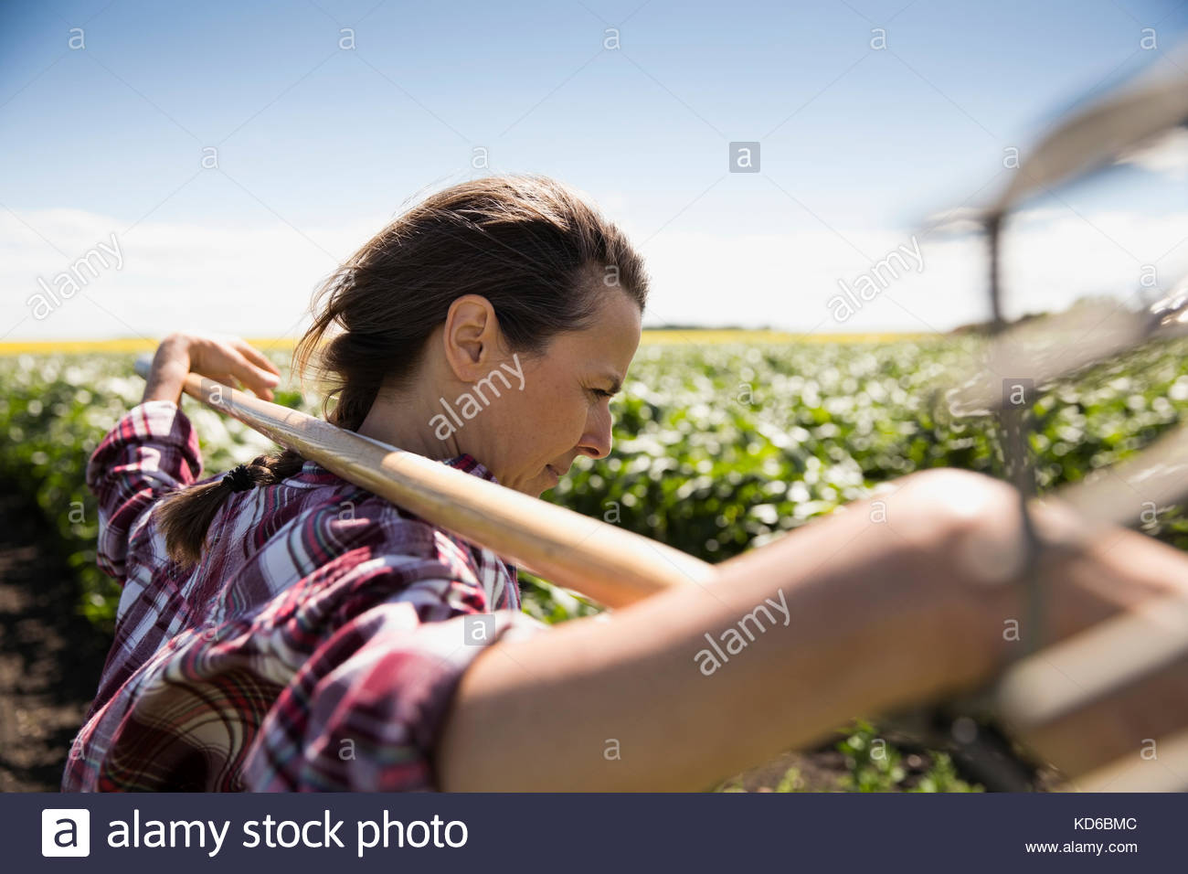 Holding rake hi-res stock photography and images - Alamy