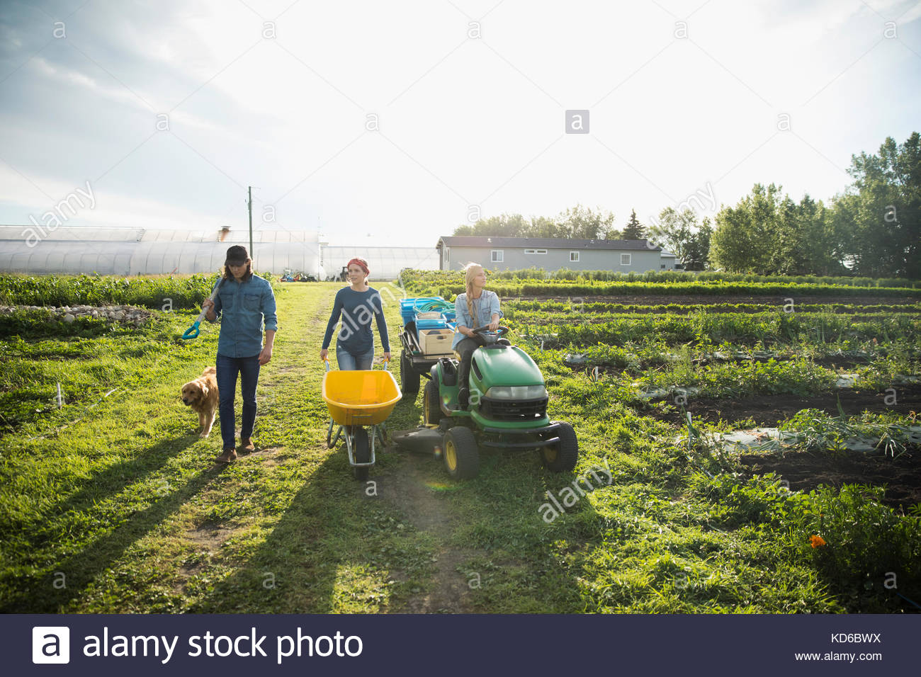Farmers with wheelbarrow and tractor on sunny farm Stock Photo Alamy