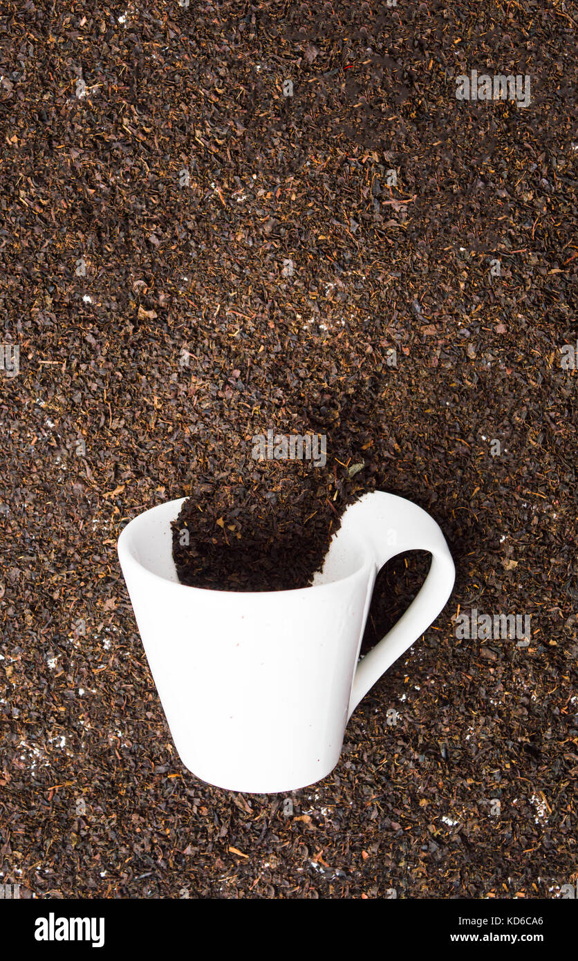 Black tea with teacup in the dried grains Stock Photo Alamy