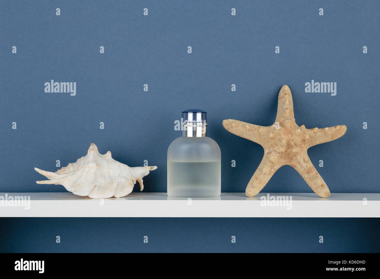 Seashell And Perfume On White Shelf On Blue Wallpaper Background Stock Photo Alamy