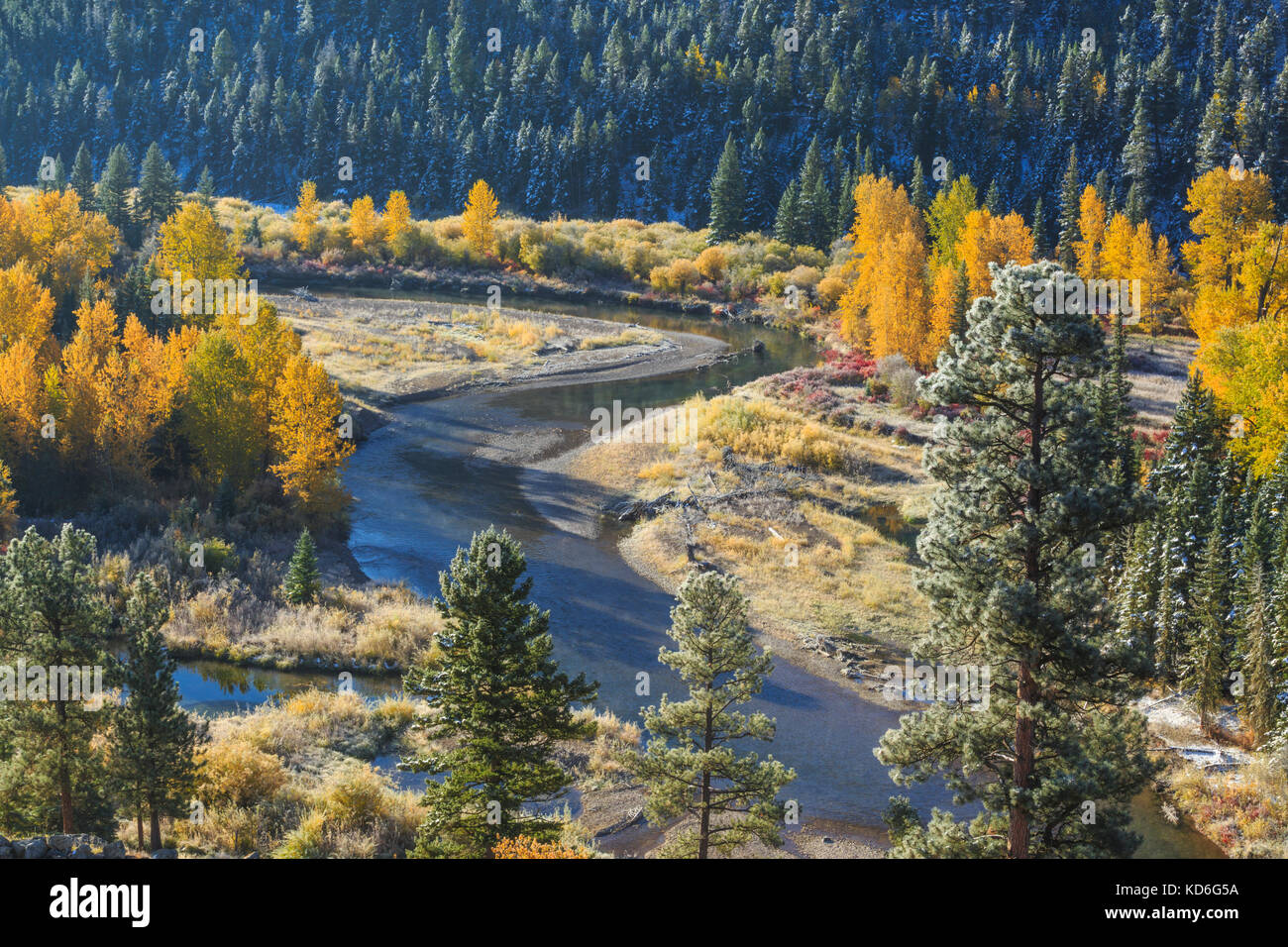 autumn morning along the blackfoot river near lincoln, montana Stock ...