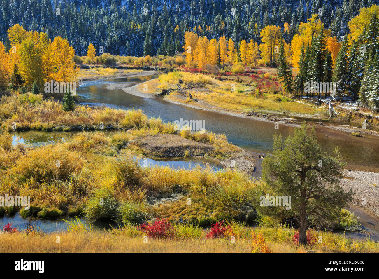 autumn morning along the blackfoot river near lincoln, montana Stock ...