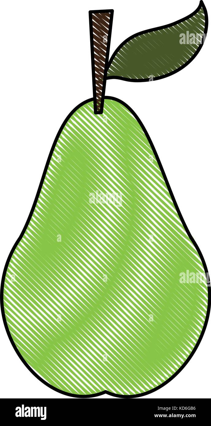 pear fruit icon image vector illustration design Stock Vector Image ...