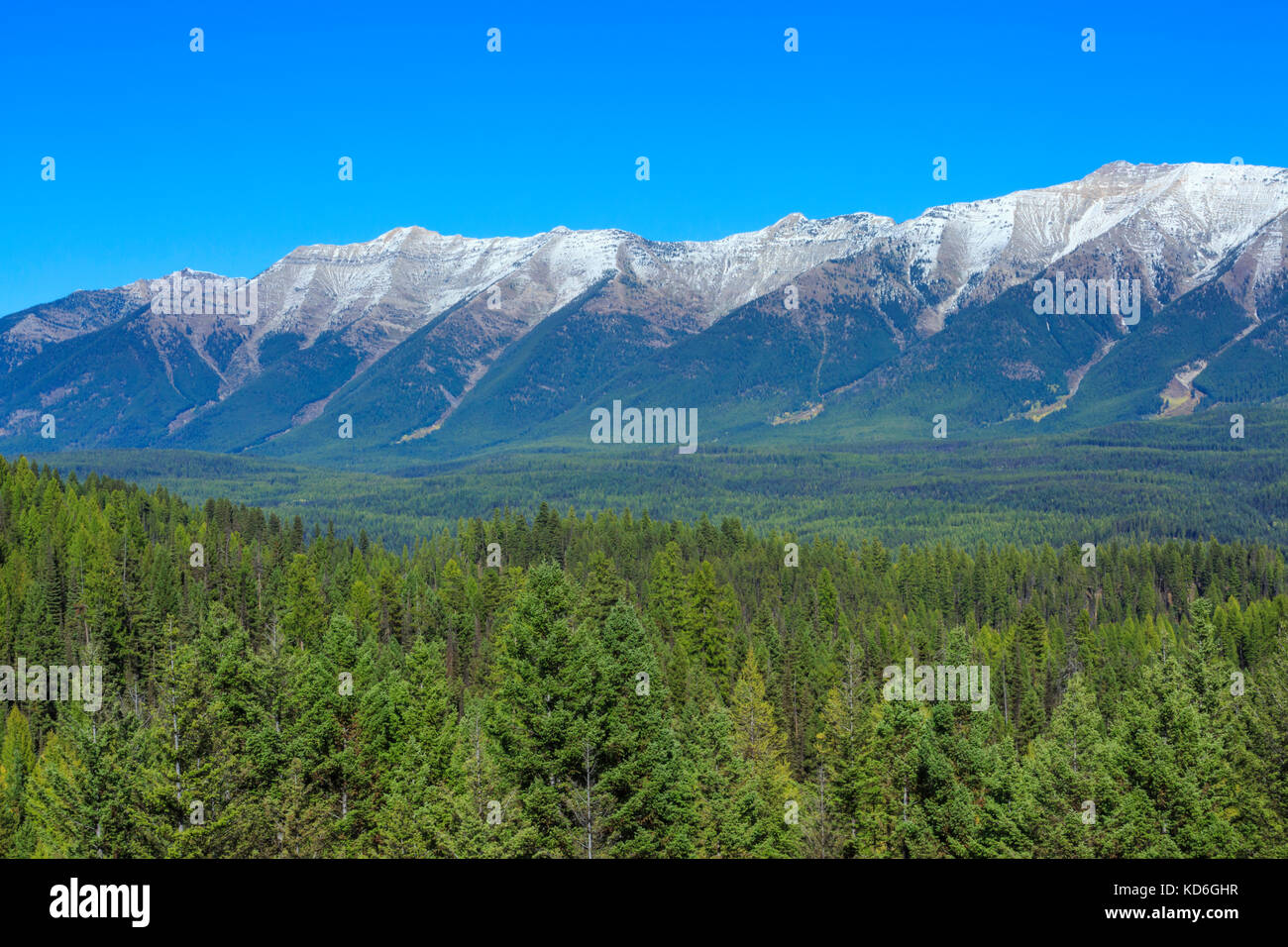 swan range above the upper clearwater river basin near seeley lake