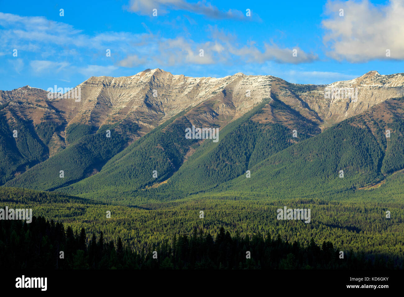 swan range above the upper clearwater river basin near seeley lake, montana Stock Photo