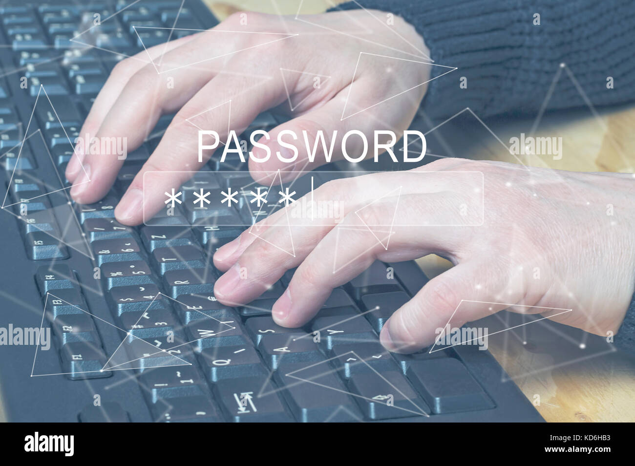 Password Box in Internet Browser, female hands typing on computer keyboard. Stock Photo