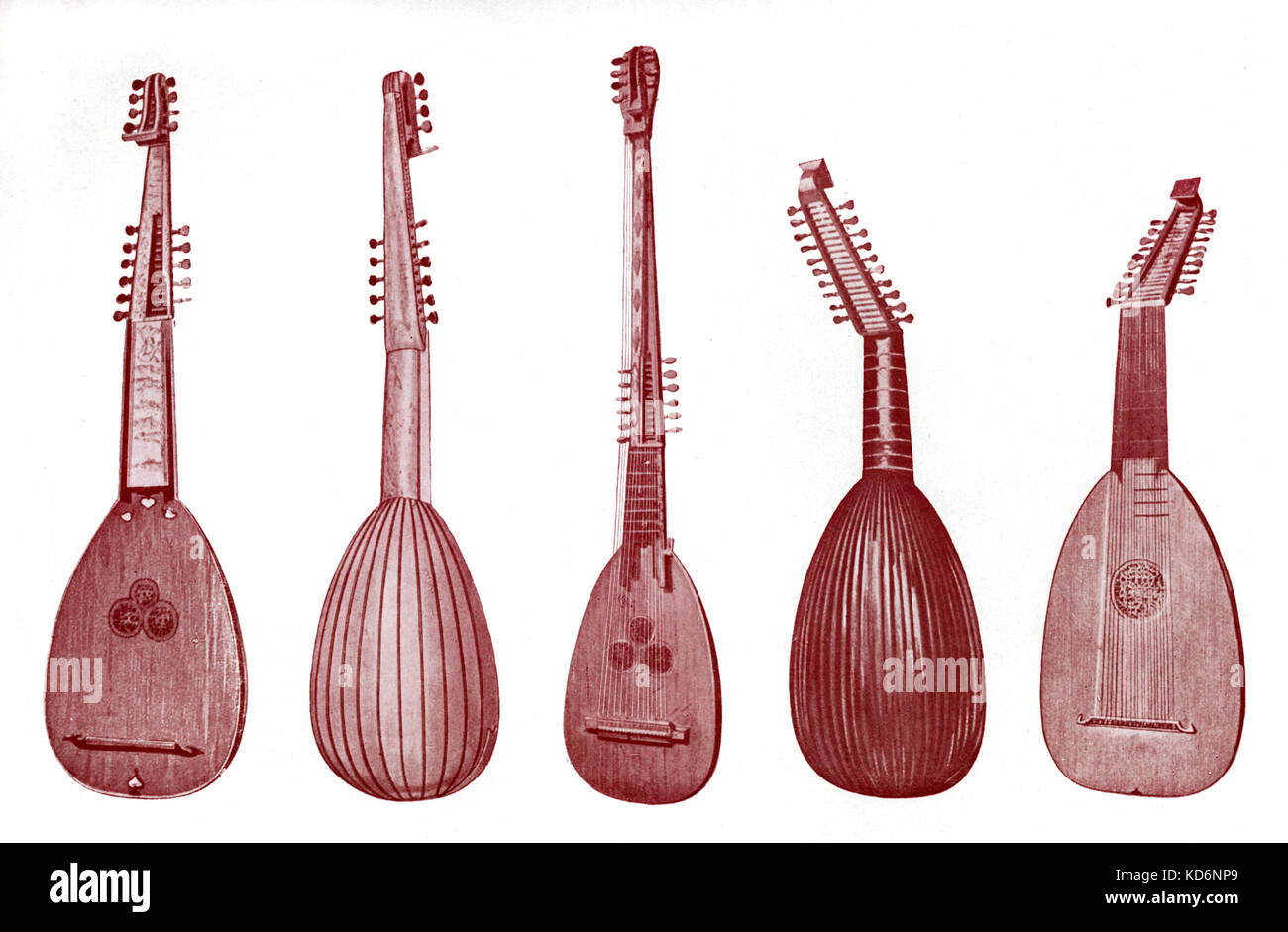 Lutes - front and back - Theorbo, chitarrone and archlute, Stock Photo