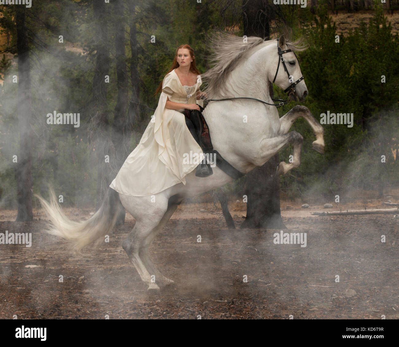 A photo of a woman riding a rearing andalusian grey stallion. Stock Photo