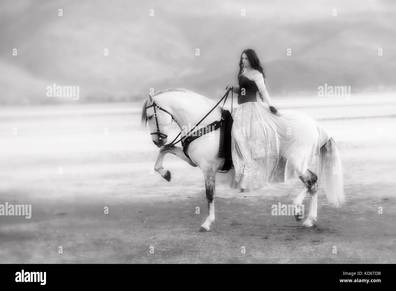 Baroque horse hi-res stock photography and images - Alamy