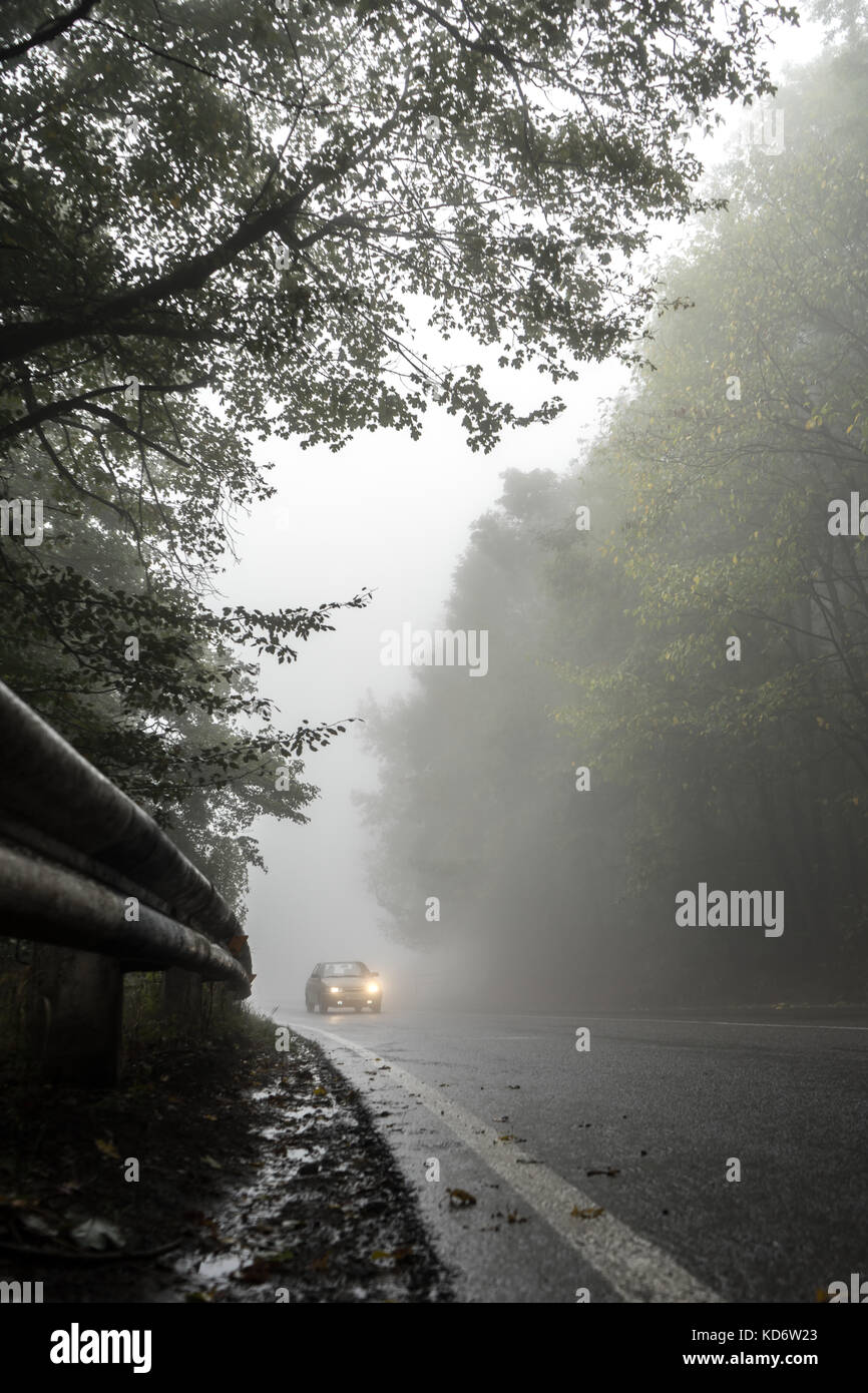 Car on a wet road in the forest, fence and roadside vertical Stock Photo